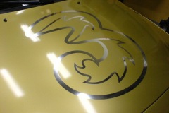 Helfoliering-3-Volvo-cabriolet-Gold-3
